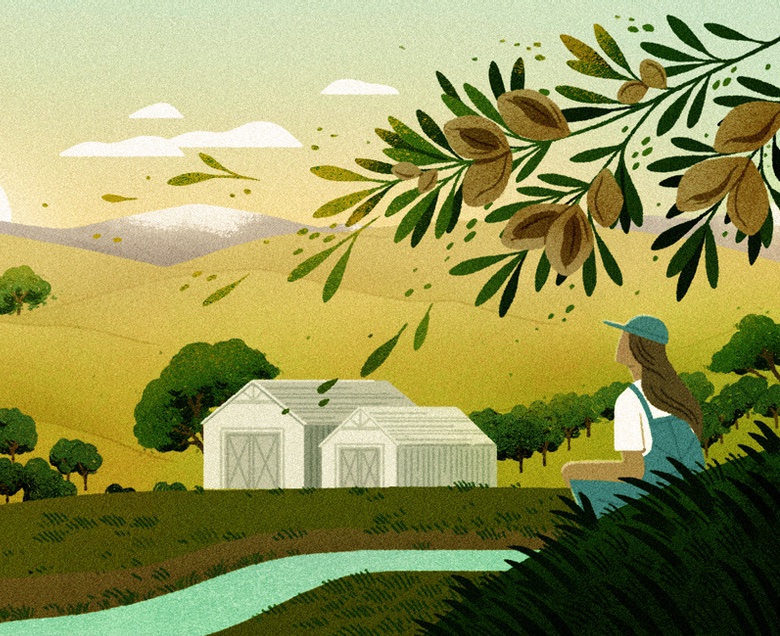 Mandelfarmer*innen bereiten sich auf eine wärmer werdende Welt vor