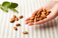 hand full of almonds